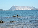Sardegna 6 2013-040
